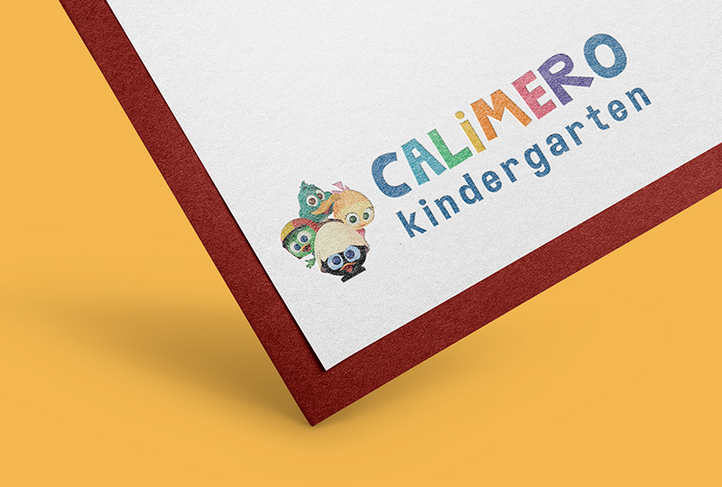 Proiect logo directsoft