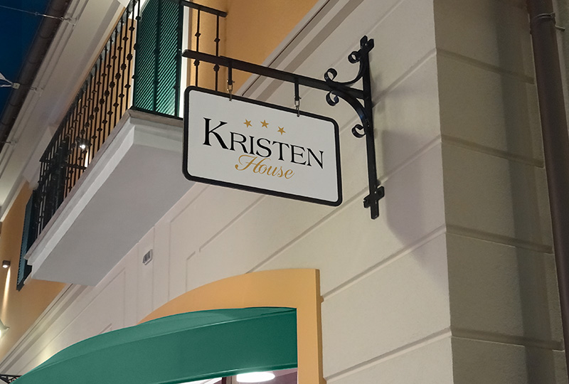 Proiect logo directsoft