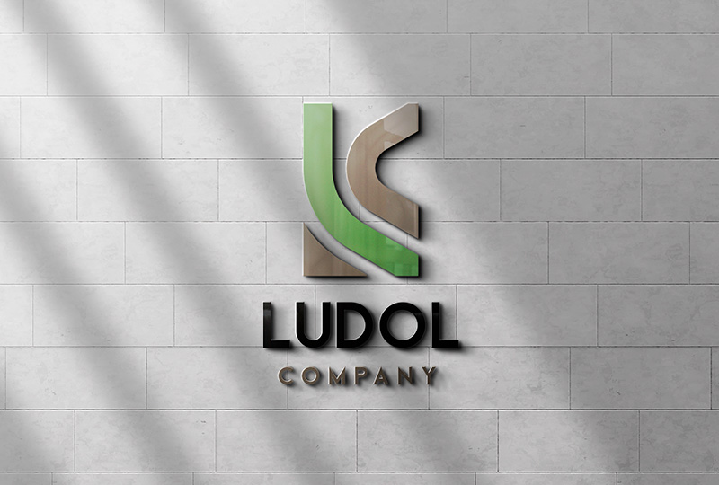 Proiect logo directsoft