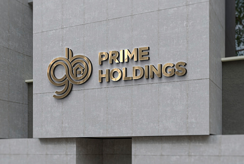 Proiect logo directsoft