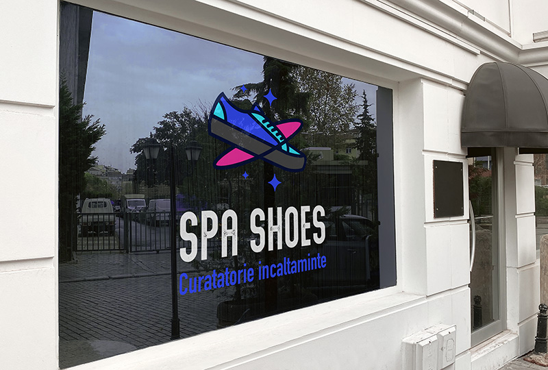 Proiect logo directsoft